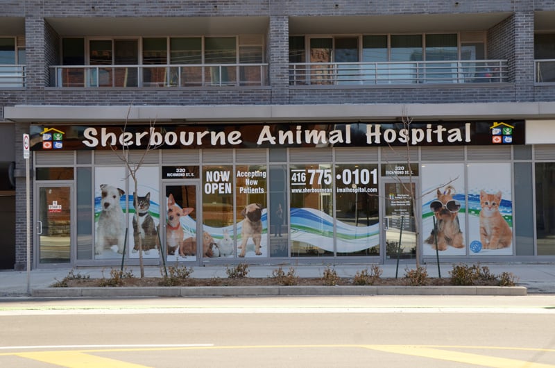 Clinic Tour - Sherbourne Animal Hospital